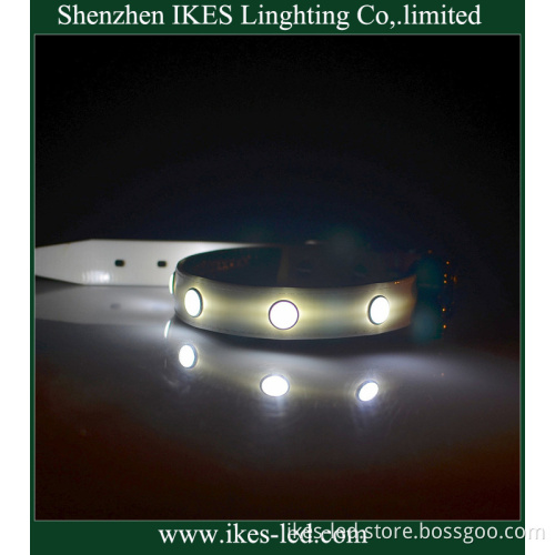 Wholesales LED Dog Collar (dog lead) Shenzhen